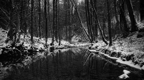 1366x768 Winter in black and white | Winter landscape, Dark wallpaper, Winter wallpaper