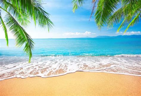 Download Zoom Background Beach Pictures - Alade