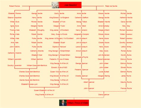 Jimmy Carter Family Tree : r/UsefulCharts