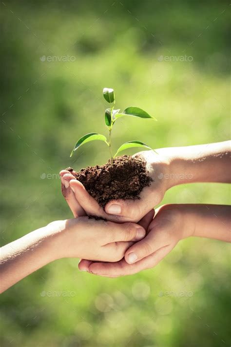 Children holding young plant in hands | Spring background, Plant ...