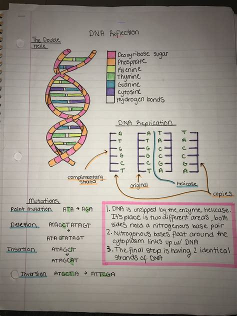 #medicalstudents | Science notes, Biology notes, Medical school studying