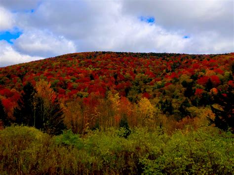 Share the Experience | Monongahela National Forest