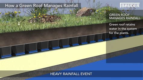 Bauder Green Roofs How Does A Green Roof Manage Rainfall?, 54% OFF