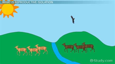 Reproductive Isolation | Definition, Types & Examples - Video & Lesson ...