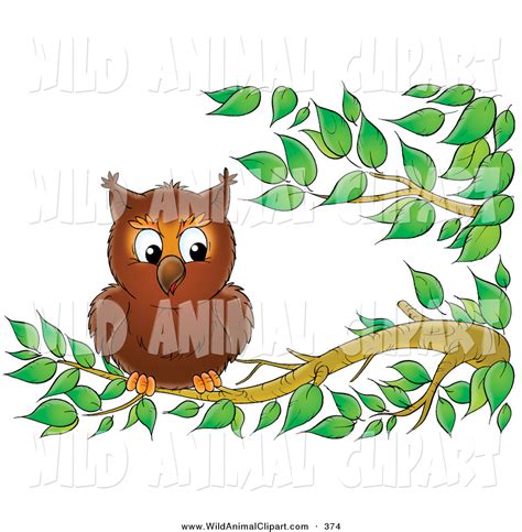 bird perched on branch clipart 10 free Cliparts | Download images on Clipground 2024