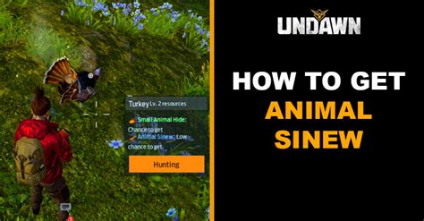 How to Get Animal Sinew in Undawn | Basic Guides