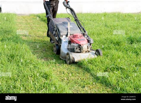 An Electric Rotary lawn mower machine (mower, grass cutter or lawnmower ...