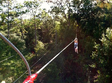 The Tree-to-Tree Adventure at Tallahassee Museum - The World of Deej