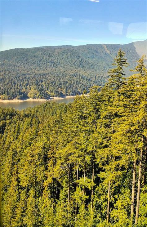 Simply Blessed Shy - Visiting Grouse Mountain in Vancouver BC