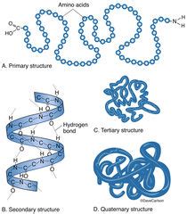 General Biology : Life Science & Biomedical : Carlson Stock Art