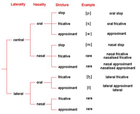 Manner of articulation - Gummy Sounds