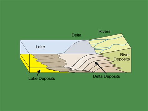 How Does Eutrophication Work? Causes, Process and Examples - Earth How