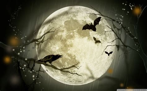 Halloween Moon Wallpapers - Top Free Halloween Moon Backgrounds ...