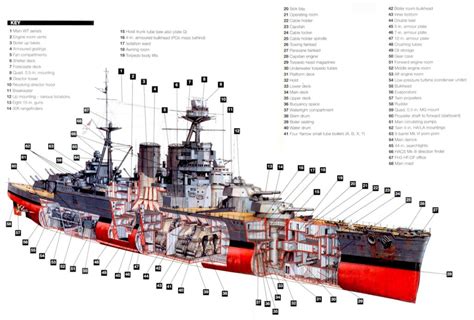 HMS Hood Cutaway Drawing in High quality