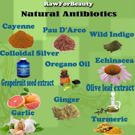 8 Best chest infection antibiotic images | Herbalism, Herbal medicine ...