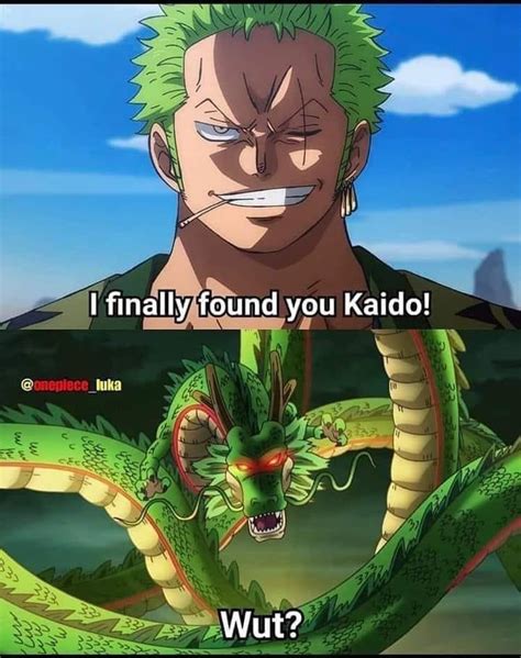 Zoro vs. Kaido? : r/MemePiece