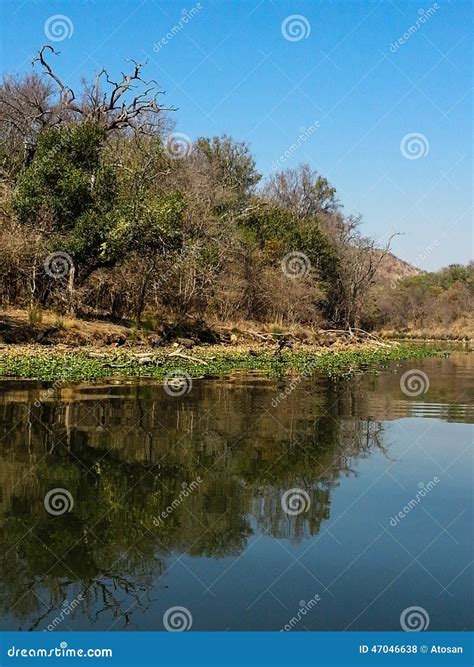 Loskop Nature Reserve stock photo. Image of natural, bright - 47046638