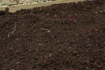 What is Loam Soil?