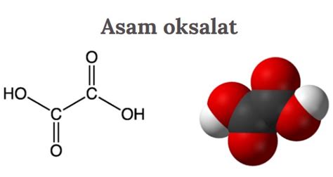 Rumus Kimia Asam Oksalat, Sifat, dan Kegunaanya