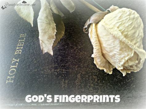 ~Beauty In the Storm ~: God's Fingerprints