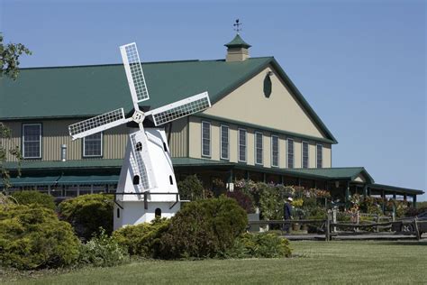 Dutch mill country market - Canada | Tea room, Dutch, Country