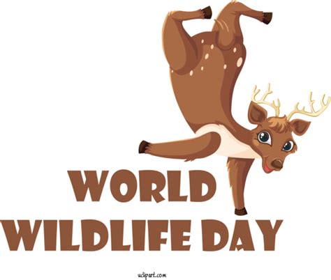 Holidays Royalty Free Design For World Wildlife Day - World Wildlife Day Clipart Holidays Clip art