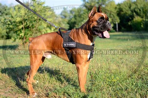 Heavy Duty Nylon Boxer Dog Harness for all-weather conditions [H17##1035 Nylon Harness with ID ...