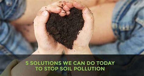 Combatting Soil Pollution: A Permaculture Approach