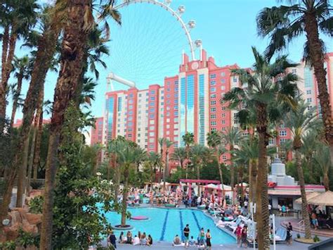 The Wildlife Habitat at the Flamingo | Zoos | Nevada