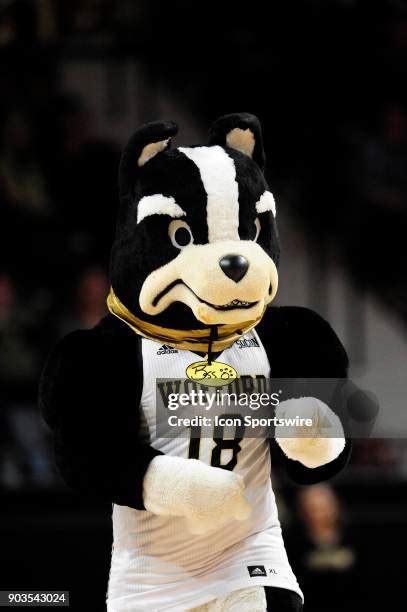 Wofford Mascot Photos and Premium High Res Pictures - Getty Images