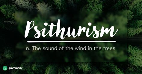 8 Words for Nature Lovers | Grammarly Blog