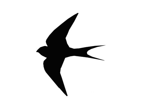 Flying Bird Outline - ClipArt Best