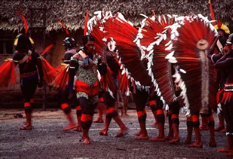 386 best kayapo images on Pinterest | Brazil, Amazon tribe and Body paint