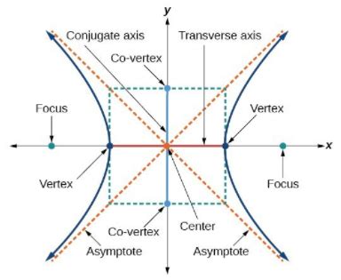 Hyperbola & Rectangular Hyperbola | Graphs, Equations & Examples - Lesson | Study.com