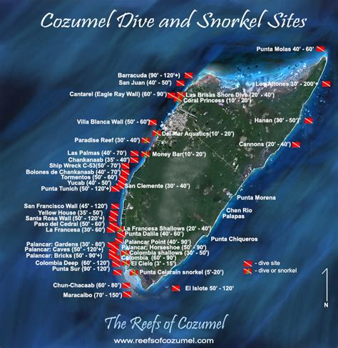 The Reefs of Cozumel Reef Map | Cozumel Reef Guide | Cozumel, Cozumel snorkeling, Diving