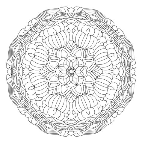 an intricate circular design in black and white, with leaves on the bottom half of it