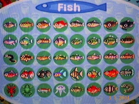 Fish - Animal Crossing Wiki