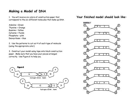 What Is A Dna Template