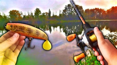 Ce BROCHET ATTAQUE à mes PIEDS !! (Pêche du Brochet) - YouTube