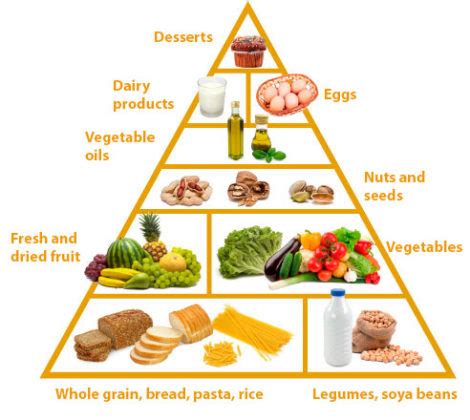 Lacto-Ovo- vegetarian Diet- Meaning, Benefits, Downsides