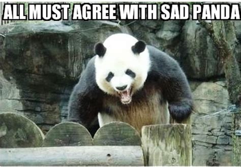 80 Cute Panda Memes