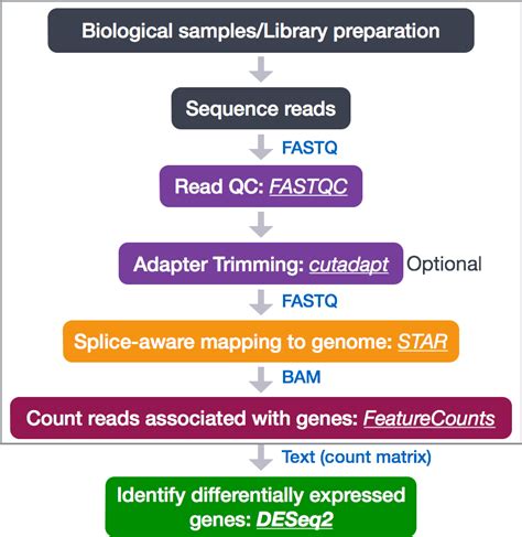 Set up and overview for gene-level differential expression analysis | Introduction to DGE - ARCHIVED