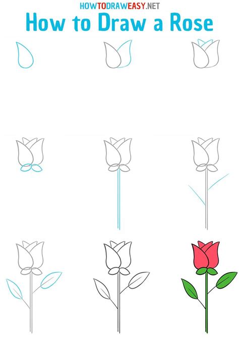 How to Draw a Rose | Easy drawings for kids, Easy flower drawings ...