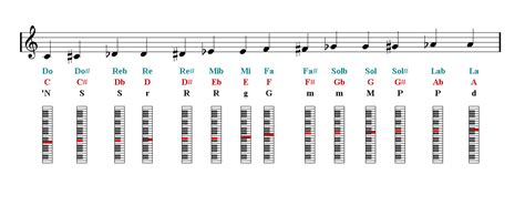 Piano Notes finger chart - Piano Sheet music | Easy Music