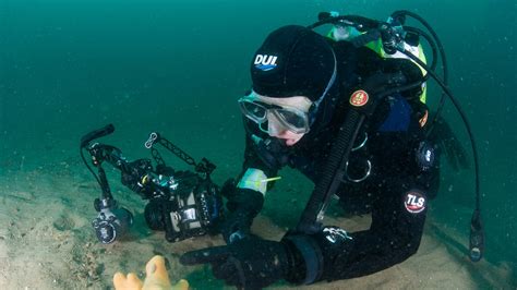 Underwater Civilization: Archaeologists Employ Magnetic Field Technology to Explore Submerged ...