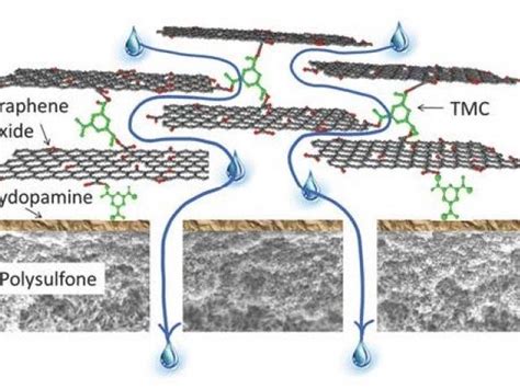 Graphene Oxide Membranes: Toward Sustainable Water Purification | NYU Tandon School of Engineering