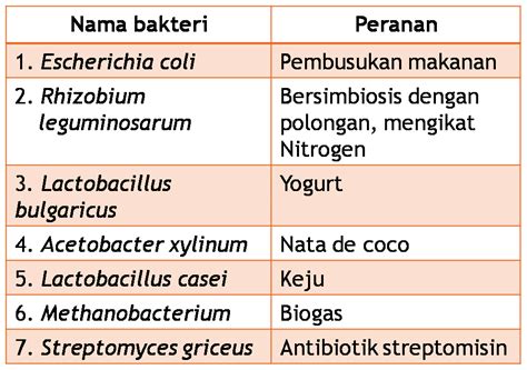 BIMA ANDI KURNIAWAN: PERANAN BAKTERI