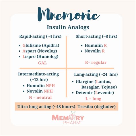 Insulin Analogs – Memory Pharm