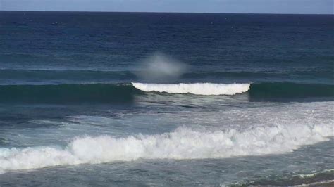 Pipeline Surfing Cam 11-14-2017 11:30:23 - 12:30:25 - YouTube