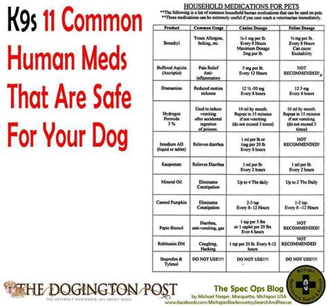 Human medicines safe for dogs | Emergency 72 hr. Evacuation ...